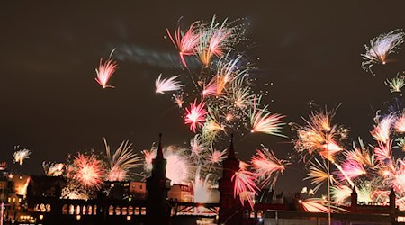 Schön anzusehen, doch für Tiere bedeutet die Knallerei an Silvester vor allem Stress. (Archivbild) / Foto: Paul Zinken/dpa