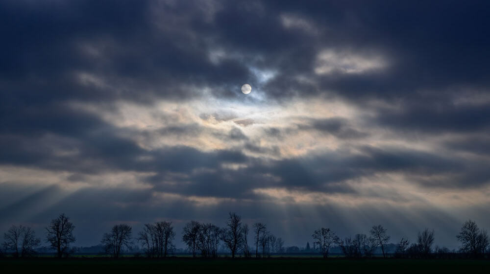 Graue Wolken, Nebel und milde Temperaturen prägen den vierten Advent in Berlin und Brandenburg. (Archivbild) / Foto: Patrick Pleul/dpa/ZB