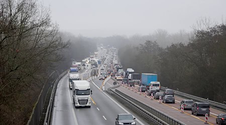 Um Staus durch die feste Grenzkontrollstelle auf der A12 bei Frankfurt (Oder) einzudämmen, gibt es nach einem Umbau jetzt eine neue Verkehrsführung.  / Foto: Thomas Mattuschka/Autobahn GmH des Bundes Niederlassung Nordost/dpa