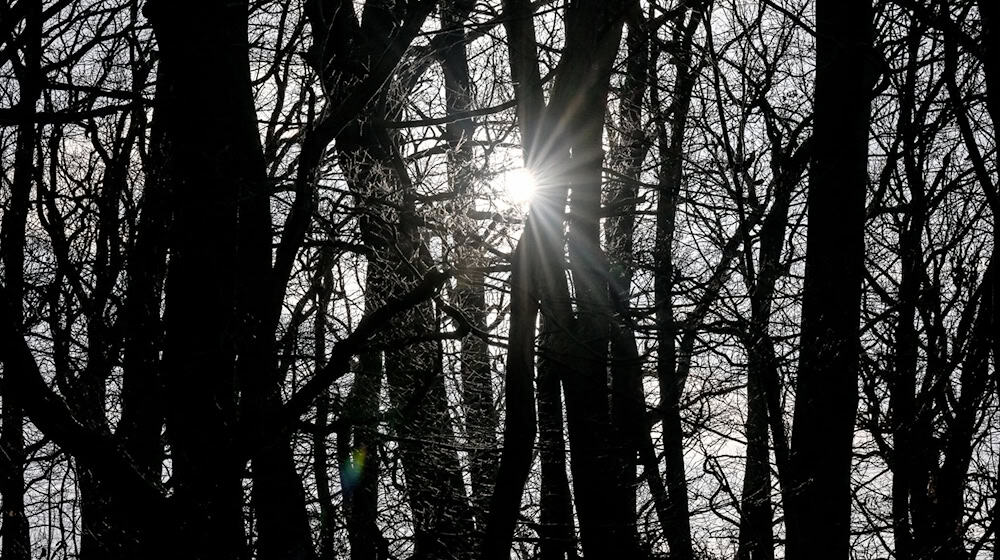 In Berlin und Brandenburg bleibt das Wetter mild. / Foto: Britta Pedersen/dpa