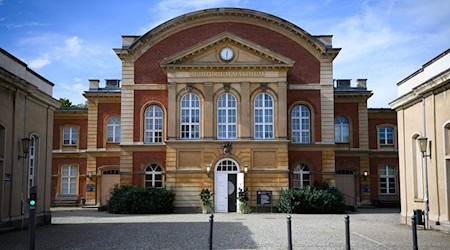 Die Hochschulen in Brandenburg zählen erneut mehr Studienanfänger. (Archivbild) / Foto: Bernd von Jutrczenka/dpa