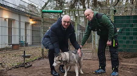 Brandenburgs Ministerpräsident Dietmar Woidke (l) besucht vor dem Weihnachtsfest das Tierheim Potsdam.  / Foto: Paul Zinken/dpa