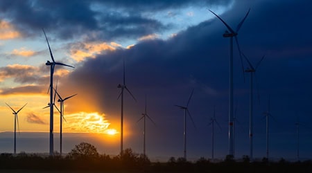 Der Dienstag wird bewölkt in Berlin und Brandenburg. (Symbolbild) / Foto: Patrick Pleul/dpa