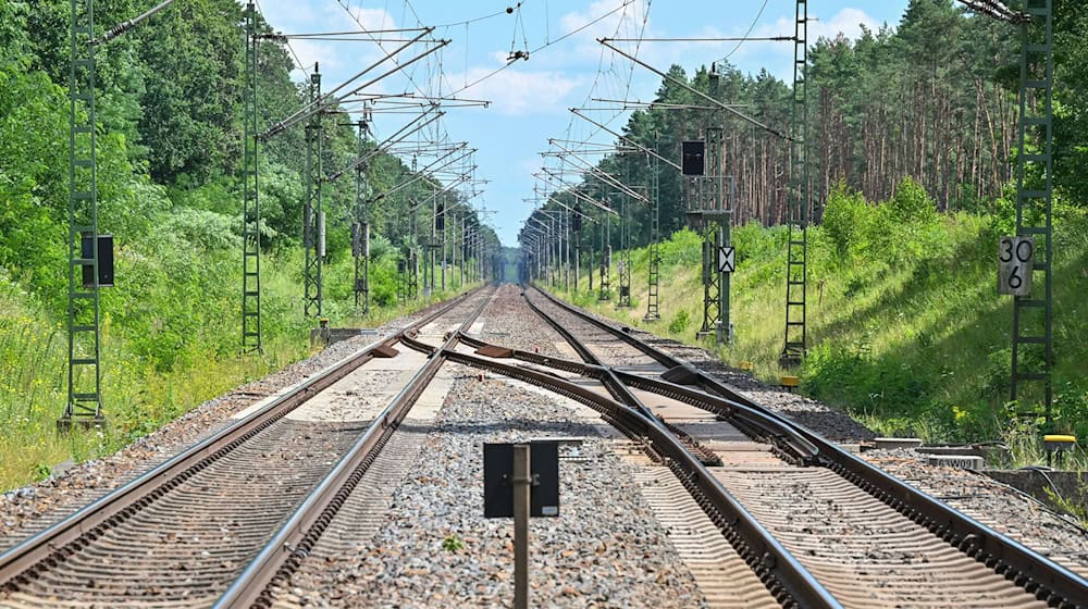 In Brandenburg steht die Reaktivierung alter Bahnstrecken zur Debatte. (Archivbild) / Foto: Patrick Pleul/dpa