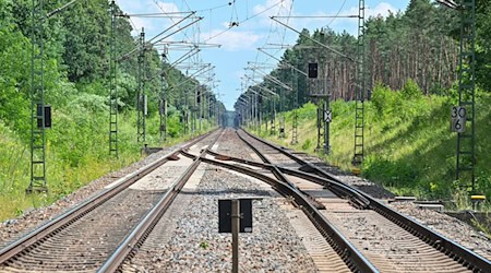 In Brandenburg steht die Reaktivierung alter Bahnstrecken zur Debatte. (Archivbild) / Foto: Patrick Pleul/dpa