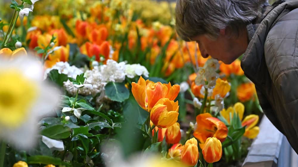 Die Besucherzahl auf der diesjährigen Woche übertraf die Erwartungen deutlich. (Archivbild) / Foto: Elisa Schu/dpa