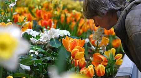 Die Besucherzahl auf der diesjährigen Woche übertraf die Erwartungen deutlich. (Archivbild) / Foto: Elisa Schu/dpa
