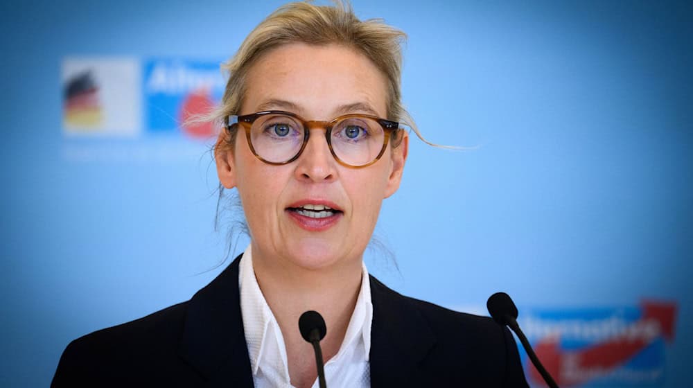 In einer Umfrage für Brandenburg erreichte die AfD zuletzt 35 Prozent. (Archivbild) / Foto: Bernd von Jutrczenka/dpa