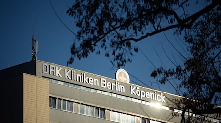 Die DRK Kliniken Berlin betreiben vier Krankenhäuser, ein Hospiz und eine stationäre Pflegeeinrichtung. (Archivbild) / Foto: Gregor Fischer/dpa