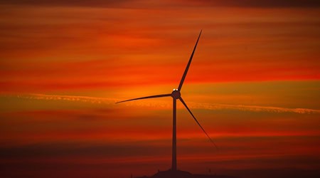 In Brandenburg stehen immer mehr Windräder. (Symbolbild) / Foto: Peter Kneffel/dpa