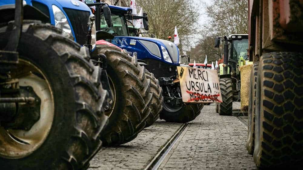 In Frankreich hatte es im Dezember Bauernproteste gegen das Mercosur-Handelsabkommen zwischen der EU und südamerikanischen Staaten gegeben. Jetzt kündigten Landwirte auch in Deutschland und Brandenburg Aktionen dagegen an. (Archivbild)  / Foto: Arnaud Finistre/AFP/dpa