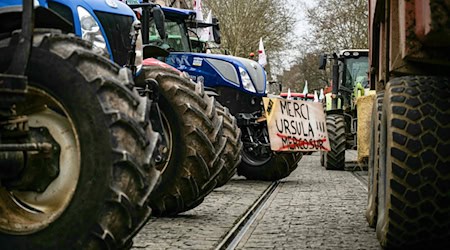In Frankreich hatte es im Dezember Bauernproteste gegen das Mercosur-Handelsabkommen zwischen der EU und südamerikanischen Staaten gegeben. Jetzt kündigten Landwirte auch in Deutschland und Brandenburg Aktionen dagegen an. (Archivbild)  / Foto: Arnaud Finistre/AFP/dpa