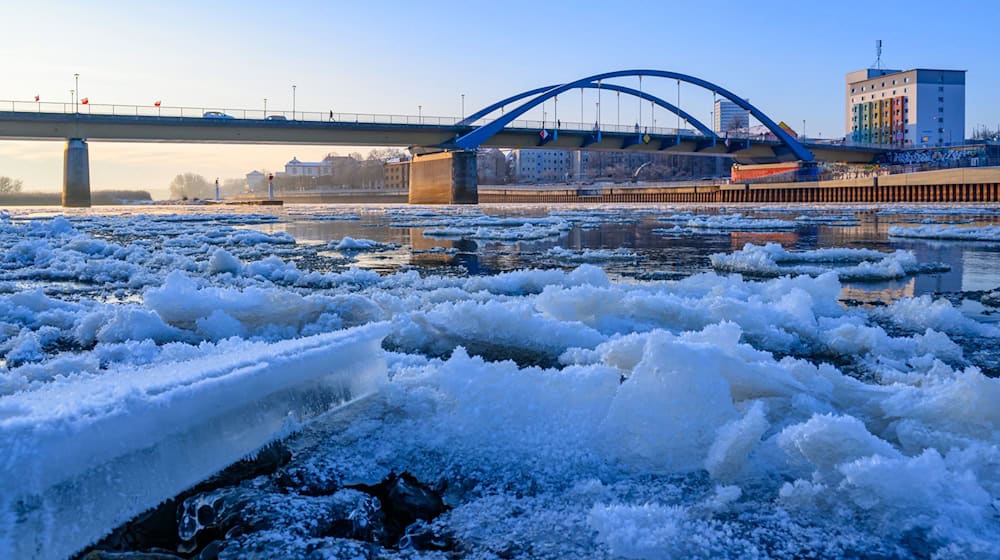 Auf der Oder hat sich bereits Eis gebildet. (Archivbild) / Foto: Patrick Pleul/dpa