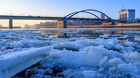Auf der Oder hat sich bereits Eis gebildet. (Archivbild) / Foto: Patrick Pleul/dpa