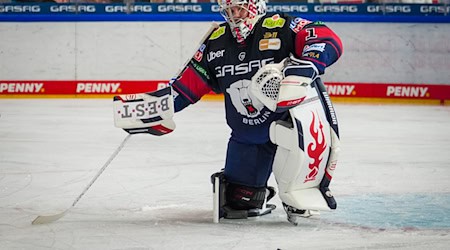 Goalie Jonas Stettmer konnte die Niederlage der Eisbären Berlin bei den Löwen Frankfurt nicht verhindern. (Archivbild) / Foto: Soeren Stache/dpa