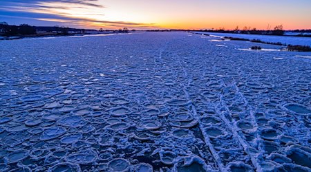 Eisschollen auf der Oder. Im Tagesverlauf kommt die Sonne raus. (Archivbild) / Foto: Patrick Pleul/dpa