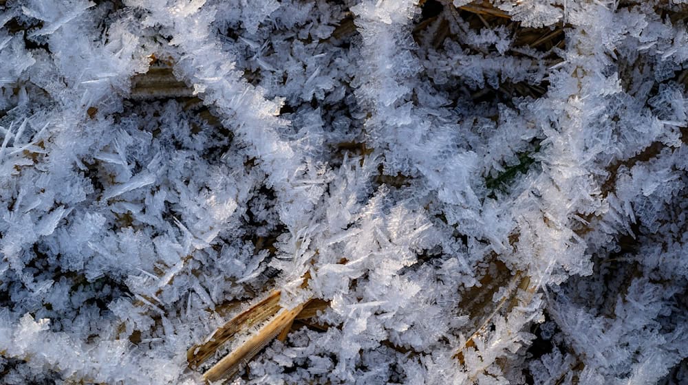 Nach der Wetterprognose des DWD wird es wolkig und es weht ein mäßiger Wind, am Montag wird es teils böig. (Symbolbild) / Foto: Patrick Pleul/dpa
