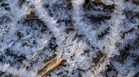 Nach der Wetterprognose des DWD wird es wolkig und es weht ein mäßiger Wind, am Montag wird es teils böig. (Symbolbild) / Foto: Patrick Pleul/dpa