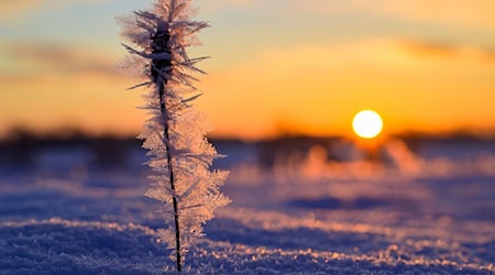 Viel Sonne, aber kalte Luft in Berlin und Brandenburg – morgens ist örtlich noch Vorsicht vor Glätte geboten. (Archivbild) / Foto: Patrick Pleul/dpa
