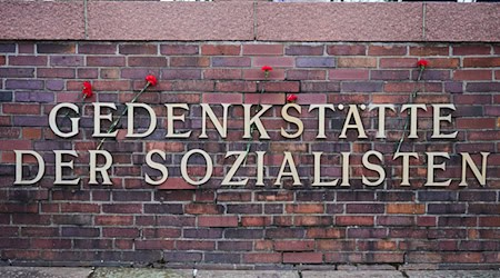 An der Gedenkstätte der Sozialisten am Zentralfriedhof Berlin-Friedrichsfelde wird traditionell an die Ermordung Rosa Luxemburg und Karl Liebknecht erinnert. / Foto: Annette Riedl/dpa