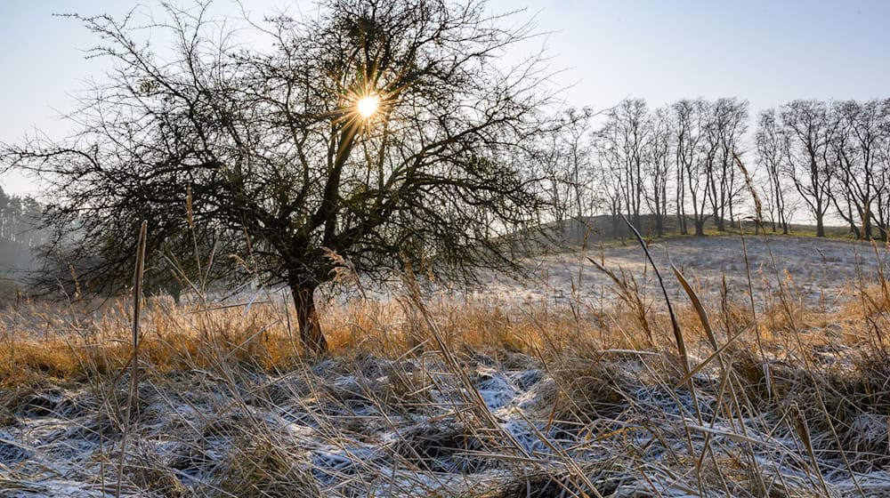 Am Wochenende lockert die dichte Wolkendecke stellenweise auf und macht den Blick auf den Himmel frei. (Symbolbild) / Foto: Patrick Pleul/dpa