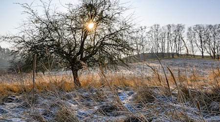 Am Wochenende lockert die dichte Wolkendecke stellenweise auf und macht den Blick auf den Himmel frei. (Symbolbild) / Foto: Patrick Pleul/dpa