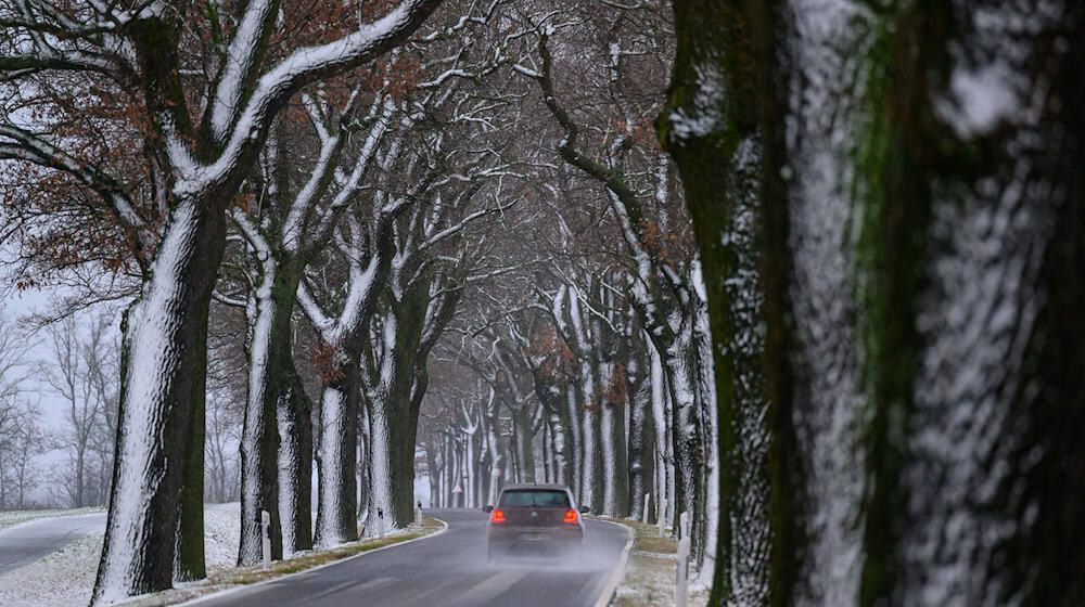 Eine Glatteiswarnung des Wetterdienstes gilt noch bis zum frühen Morgen in Brandenburg. (Symbolbild) / Foto: Patrick Pleul/dpa
