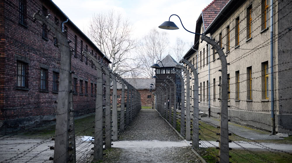 Mehr als eine Million Menschen wurden im Vernichtungslager Auschwitz-Birkenau von den Nazis ermordet. (Archivbild) / Foto: Bernd von Jutrczenka/dpa