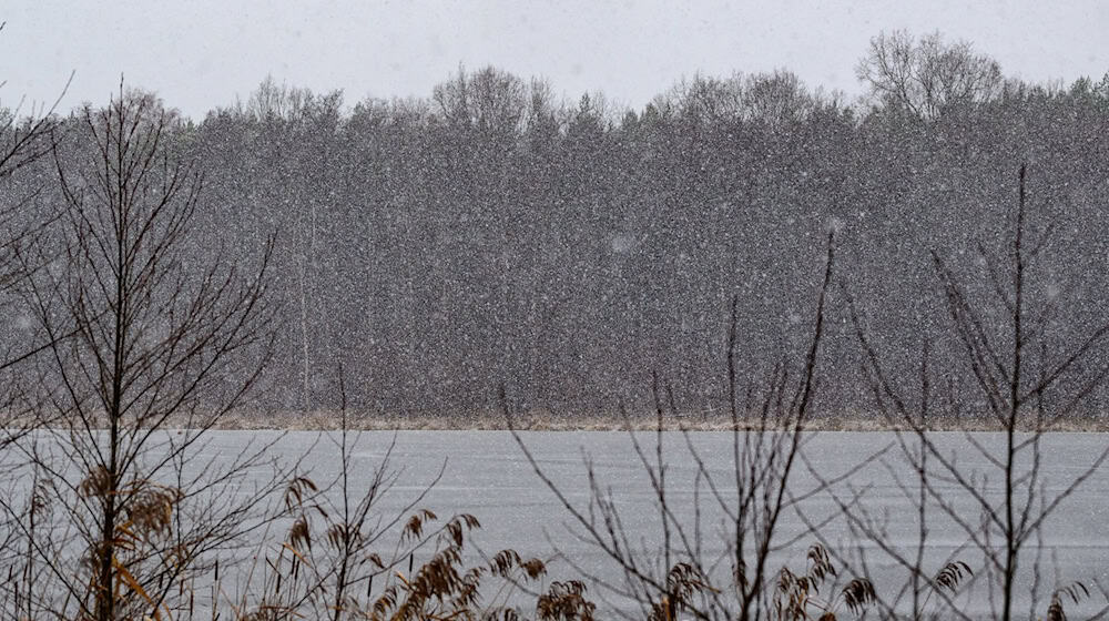 Am Donnerstag und in der Nacht zu Freitag kommt es nach Angaben des Deutschen Wetterdienstes zu leichtem bis mäßigen Dauerfrost. (Archivbild) / Foto: Patrick Pleul/dpa