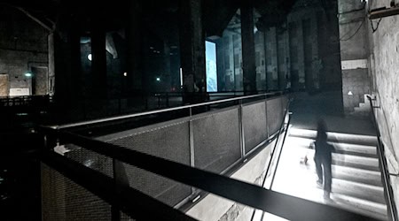 Der französische Künstler Pierre Huyghe zeigt seine neue Installation «Liminals» in der Halle am Berghain. / Foto: Britta Pedersen/dpa