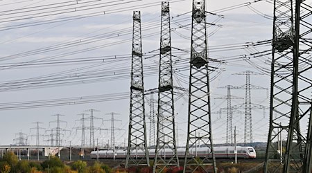Der Entwurf für das sogenannte Kritis-Dachgesetz sieht bestimmte Schutzverpflichtungen aktuell lediglich für große Energieversorger vor. (Symbolbild)  / Foto: Martin Schutt/dpa