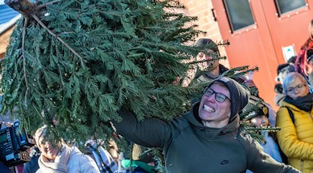 Die Weihnachtsbäume werden in Cottbus möglichst weit geworfen. / Foto: Frank Hammerschmidt/dpa
