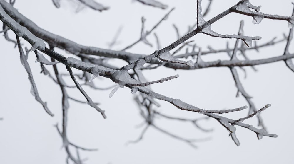 Besonders kalt war es in der vergangenen Nacht in Coschen. (Symbolbild) / Foto: Hannes P. Albert/dpa