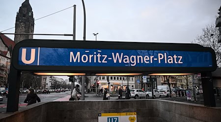 Für die Wagner-Brüder ist es ein Heimspiel. / Foto: Britta Pedersen/dpa