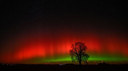 Polarlichter sind am Himmel über Brandenburg zu sehen.  / Foto: Patrick Pleul/dpa