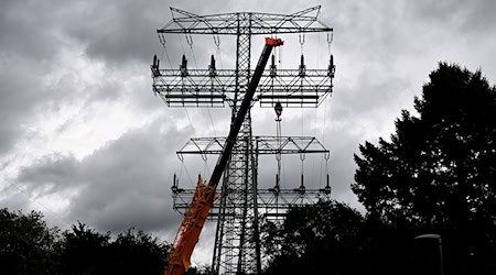 Vom jüngsten Stromausfall waren anfangs 45.000 Haushalte und 2.200 Betriebe betroffen (Archivbild).  / Foto: Britta Pedersen/dpa