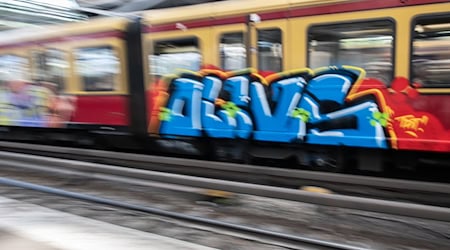 In Berlin und Brandenburg gab es eine Razzia gegen mutmaßliche Graffiti-Sprayer. (Archivbild) / Foto: Paul Zinken/dpa