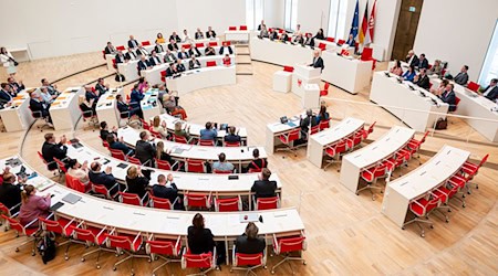 Auch im vergangenen Jahr sind wieder mehrere Ordnungsrufe vergeben worden. (Archivbild) / Foto: Fabian Sommer/dpa