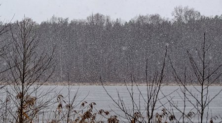 Schnee und Frost prägen das Wochenende in Berlin und Brandenburg – vielerorts sind Straßen und Wege winterlich glatt. / Foto: Patrick Pleul/dpa