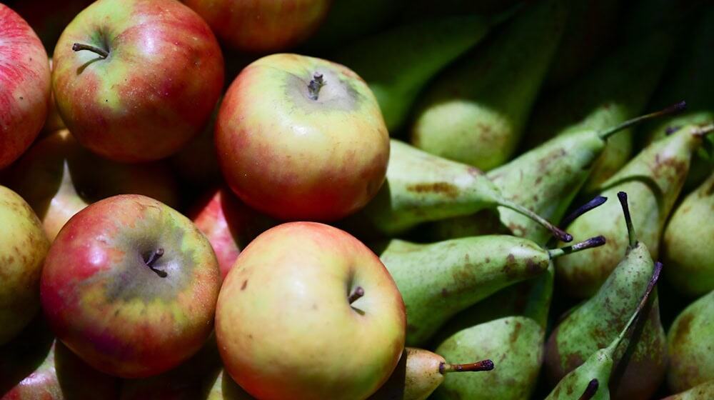 Bei der Grünen Woche gibt es stets zahlreiche Lebensmittel. / Foto: Sebastian Christoph Gollnow/dpa