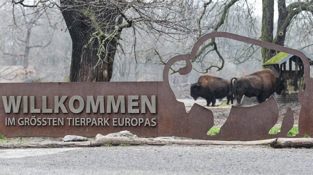 Im Februar können Menschen ab 65 Jahren kostenlos den Berliner Tierpark besuchen. (Archivbild) / Foto: Kira Hofmann/dpa-Zentralbild/ZB