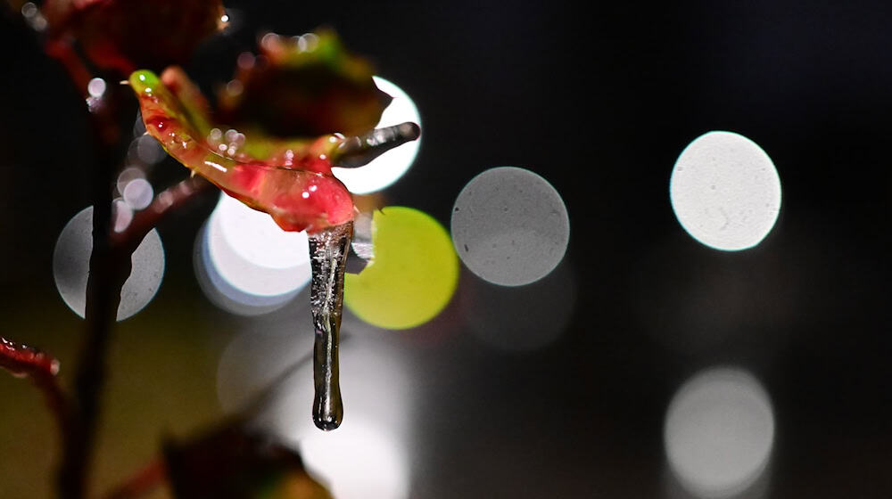 Alle Unwetterwarnungen für Berlin und Brandenburg sind aufgehoben. / Foto: Sebastian Gollnow/dpa