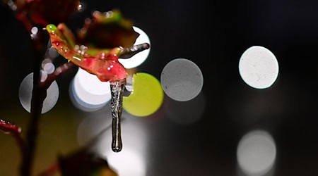 Alle Unwetterwarnungen für Berlin und Brandenburg sind aufgehoben. / Foto: Sebastian Gollnow/dpa