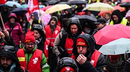 Im öffentlichen Dienst Berlins riefen Gewerkschaften seit Dezember schon mehrfach zu Warnstreiks auf, um ihre Tarifforderungen zu untermauern. (Archivbild) / Foto: Britta Pedersen/dpa