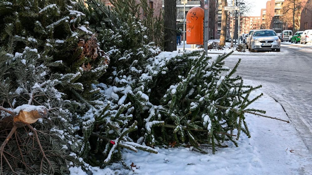Manche Bäume liegen schon ausrangiert am Straßenrand. / Foto: Jens Kalaene/dpa