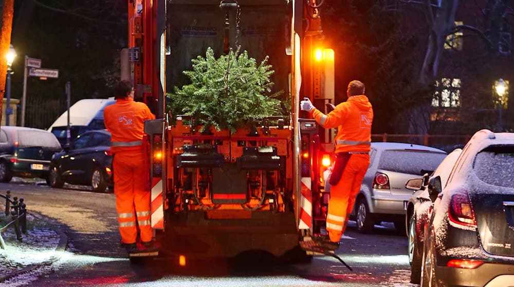 Mit dem Weihnachtsbaum-Entdecker-Service will die BSR die letzten Bäume entsorgen. (Symbolfoto) / Foto: Wolfram Steinberg/dpa
