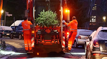 Mit dem Weihnachtsbaum-Entdecker-Service will die BSR die letzten Bäume entsorgen. (Symbolfoto) / Foto: Wolfram Steinberg/dpa