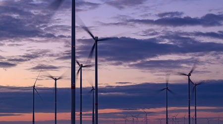 Werden Genehmigungen für neue Windräder außerhalb festgelegter Planungsflächen in Brandenburg gestoppt?  (Symbolbild) / Foto: Patrick Pleul/dpa