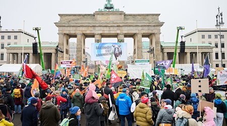 Am Brandenburger Tor in Berlin fordern Demonstranten unter dem Motto «Wir haben es satt» eine andere Landwirtschaftspolitik.  / Foto: Annette Riedl/dpa
