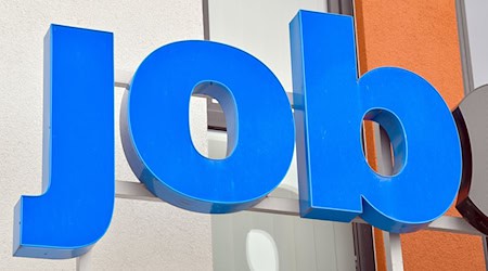 Die Arbeitslosigkeit in Brandenburg ist im Januar gestiegen. (Archivbild) / Foto: Patrick Pleul/dpa-Zentralbild/dpa